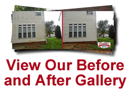 before-and-after-gallery